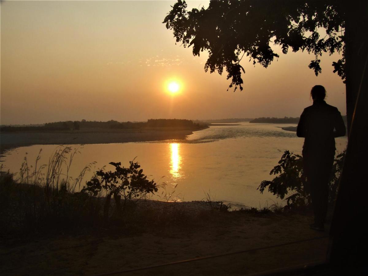 Mango Tree Lodge Bardiya Esterno foto