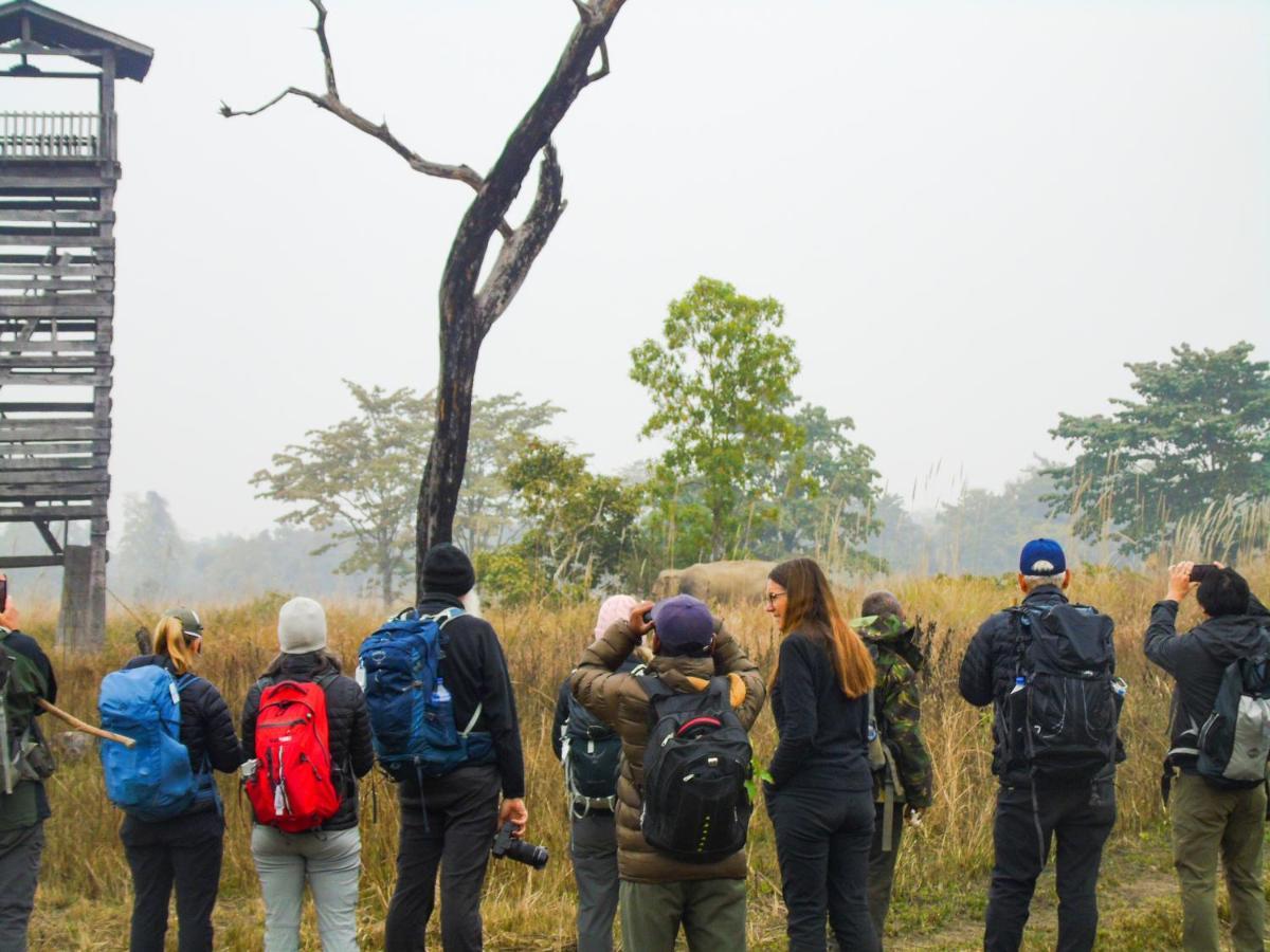 Mango Tree Lodge Bardiya Esterno foto