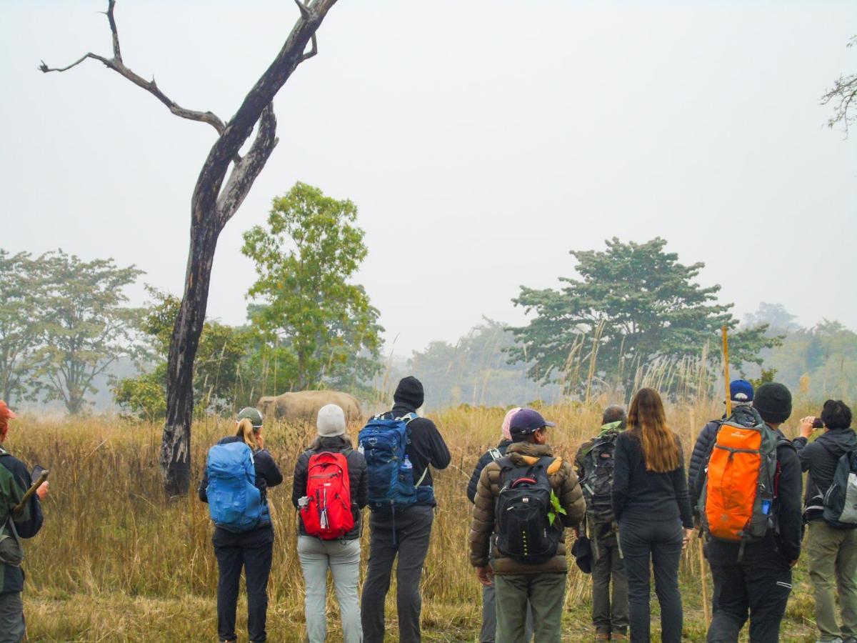 Mango Tree Lodge Bardiya Esterno foto