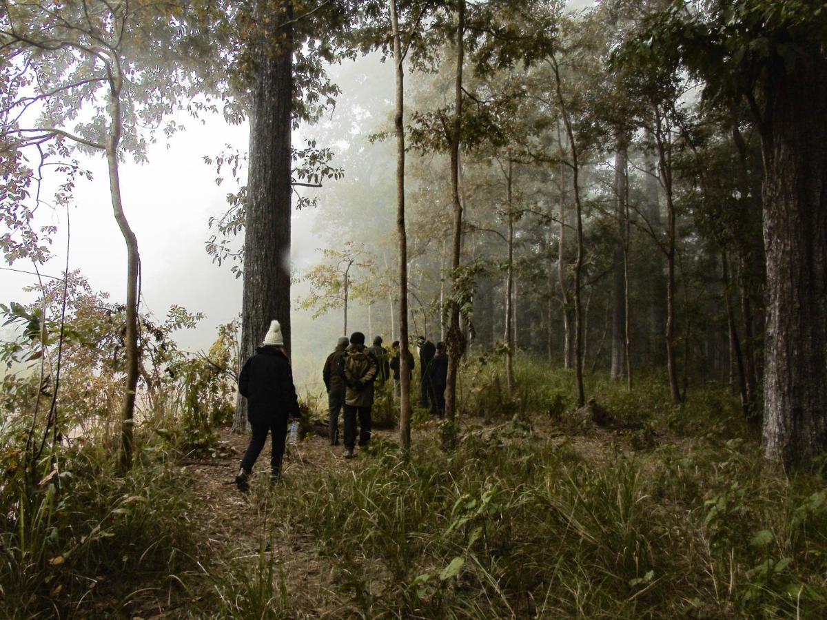 Mango Tree Lodge Bardiya Esterno foto