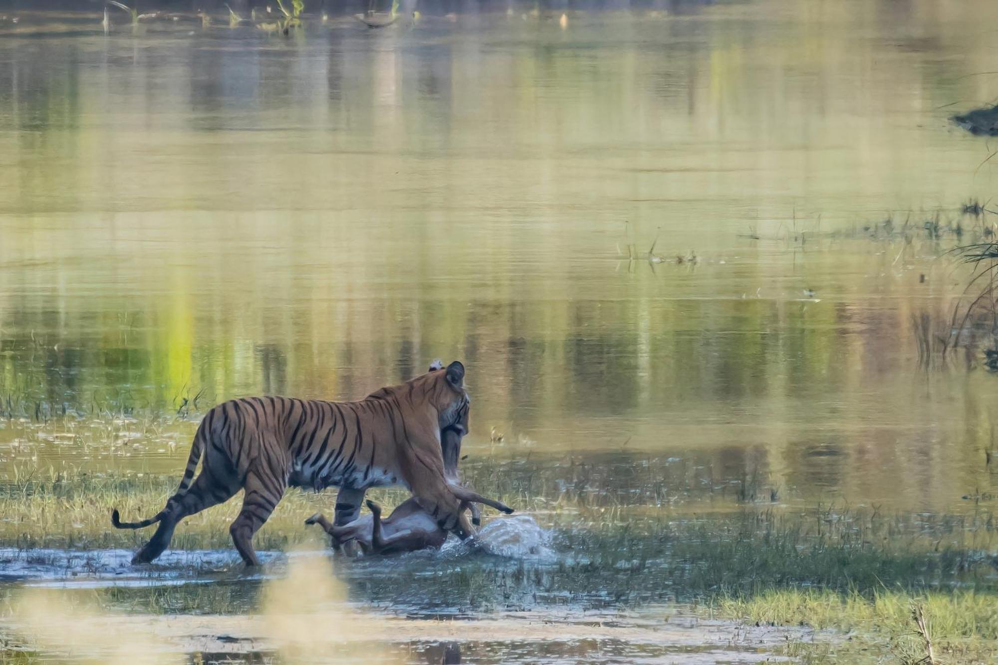 Mango Tree Lodge Bardiya Esterno foto